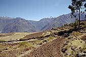 Colca Canyon